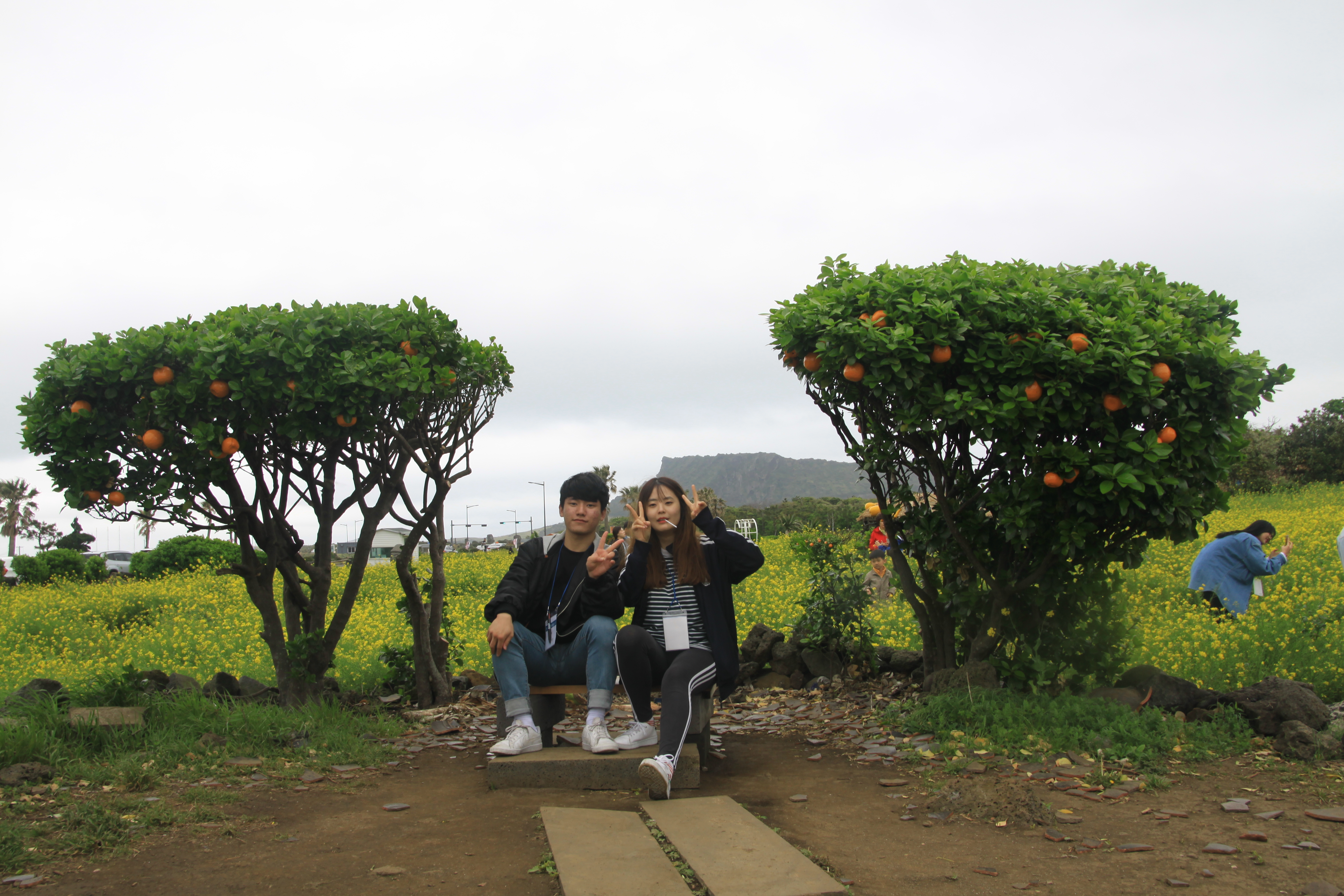 18-26...jpg 이미지