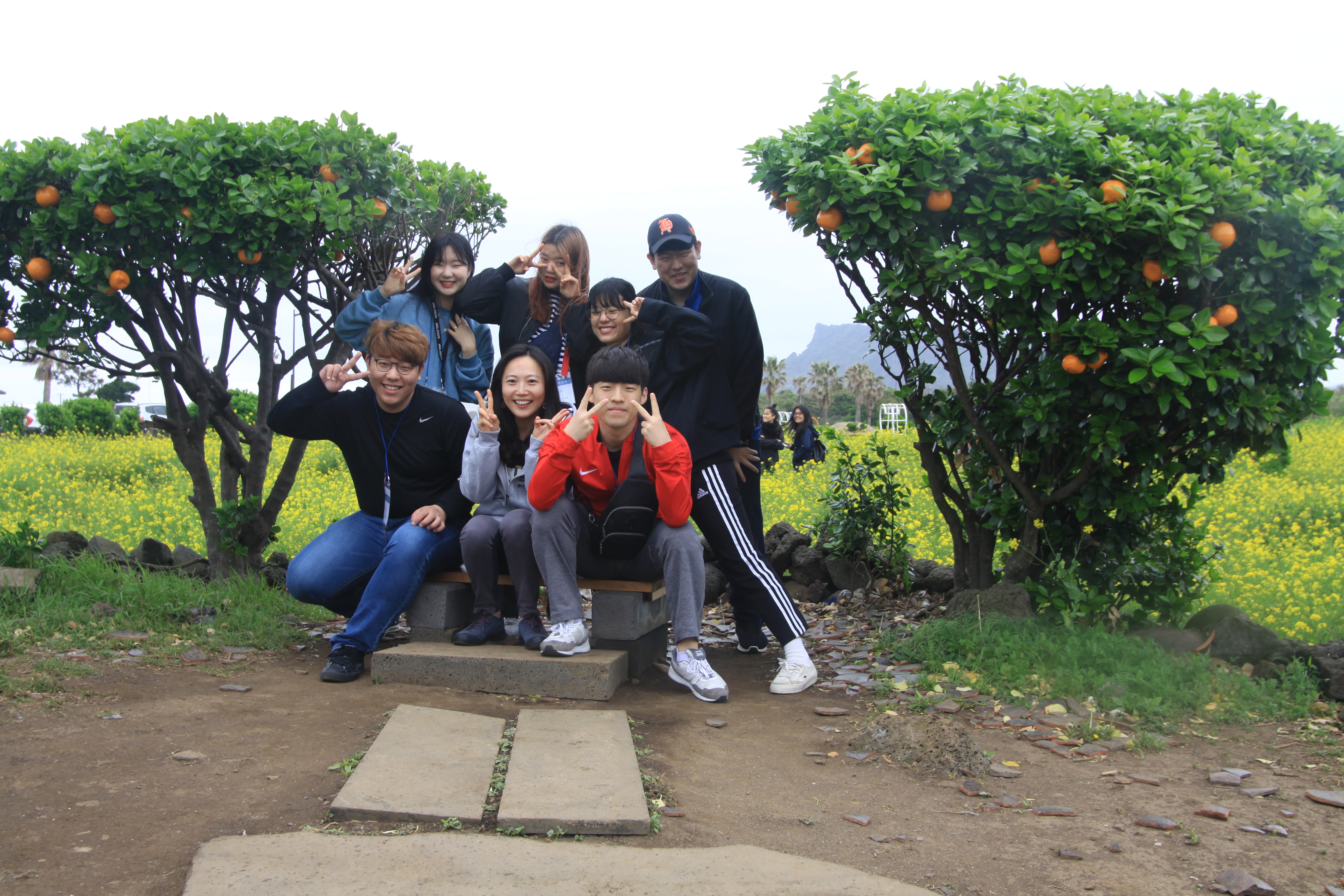 18-29..jpg 이미지